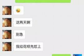 討債公司坯子C同志：揭秘討債行業(yè)的幕后英雄