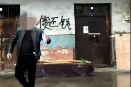 蛋花花催收是哪里號(hào)碼？