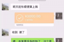 甘肅白銀地區(qū)催收公司解析：行業(yè)現(xiàn)狀與案例分析