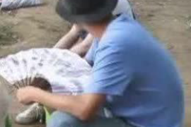 高質(zhì)量的上海討債公司：專業(yè)、高效、合規(guī)的債權(quán)回收保障