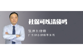 甘肅慶陽(yáng)討債公司：專業(yè)高效，助您解決債務(wù)難題