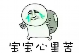 借唄催收說法院起訴：了解借唄逾期處理流程