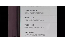 鎮(zhèn)平收債公司哪家好？揭秘鎮(zhèn)平地區(qū)收債行業(yè)的佼佼者