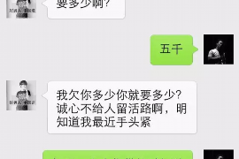 荒野大鏢客2討債阿爾吉:揭秘游戲中的討債風(fēng)云 荒野大鏢客2討債阿爾吉:揭秘游戲中的討債風(fēng)云