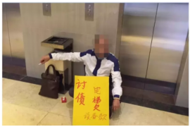 網(wǎng)貸催收案件編號查詢：全面解析與操作指南