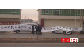 催收投訴案件怎么寫報告