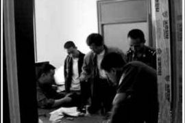 我家的貓是討債的：揭秘貓咪的神秘行為